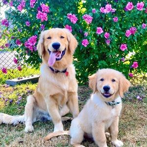 Meet your Posher, Paige